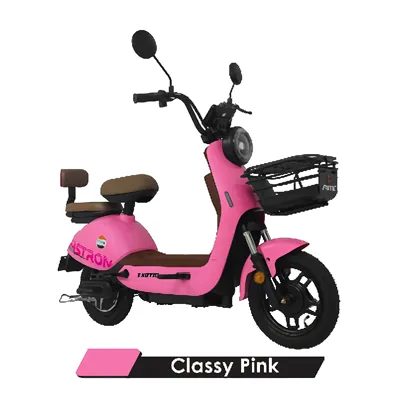 FASTRON EBIKE_5