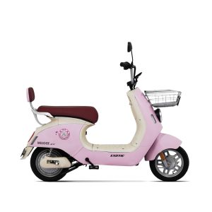 VELOCE V7